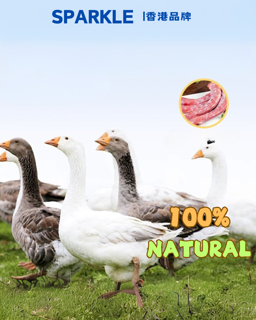 凍乾鴨頸 | 促進牙齒健康