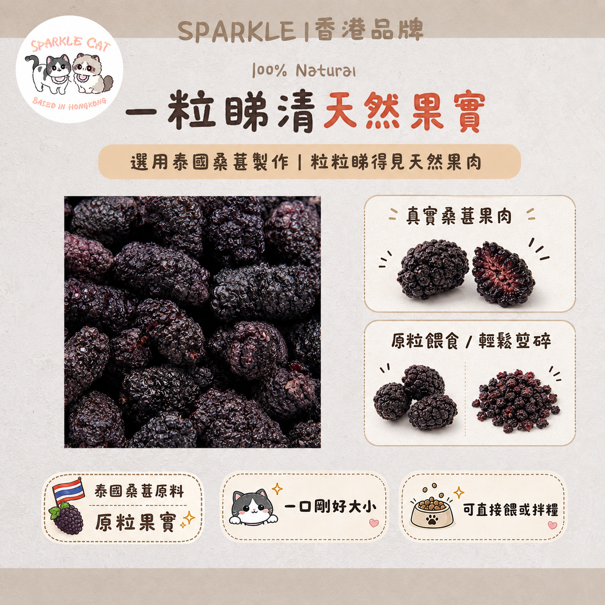 【黑金滋補】天然凍乾桑葚 - 頂級抗氧化/補血烏髮