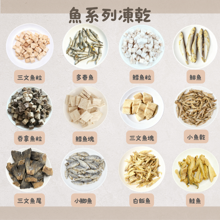魚類凍乾