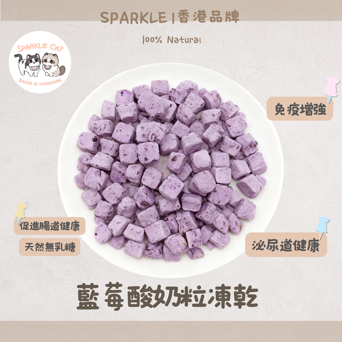 【護眼益生菌】凍乾藍莓乳酪粒 - 零乳糖不拉肚/酸甜酥脆