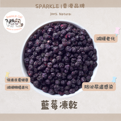 【護眼抗老】超級食物凍乾藍莓 - 豐富花青素/明目亮眼