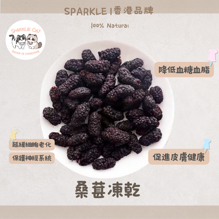 【黑金滋補】天然凍乾桑葚 - 頂級抗氧化/補血烏髮