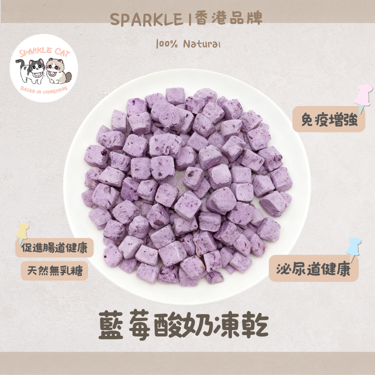 【護眼益生菌】凍乾藍莓乳酪粒 - 零乳糖不拉肚/酸甜酥脆