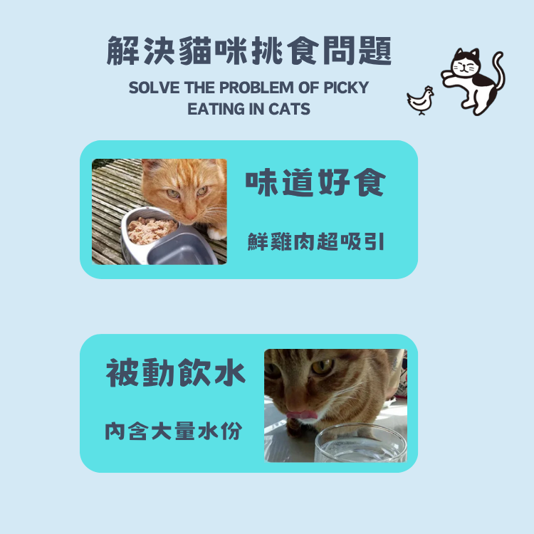 SPARKLE 純肉鮮肉湯罐 | 補水神器