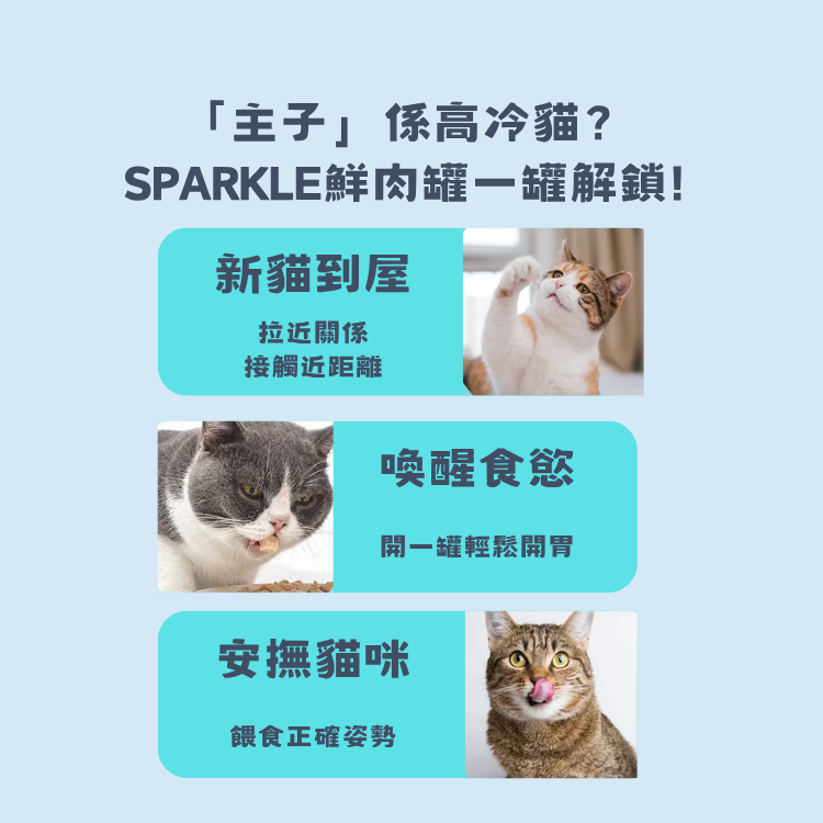 SPARKLE 純肉鮮肉湯罐 | 補水神器