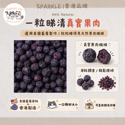 【護眼抗老】超級食物凍乾藍莓 - 豐富花青素/明目亮眼