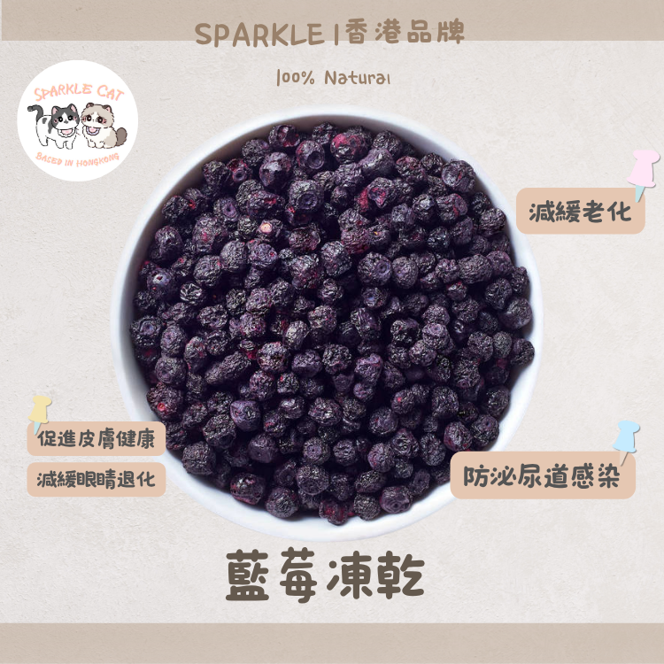 【護眼抗老】超級食物凍乾藍莓 - 豐富花青素/明目亮眼